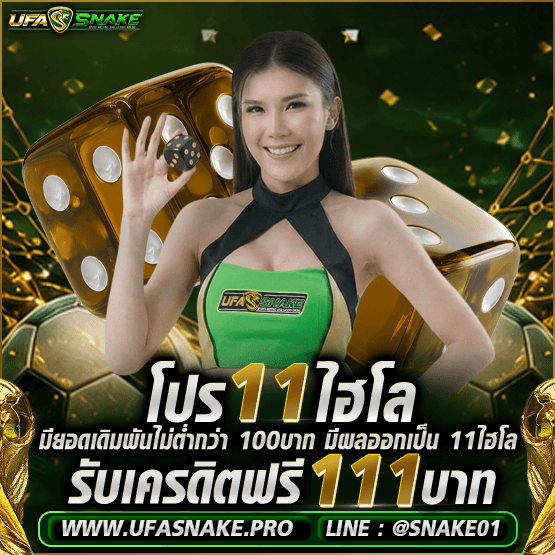 โปร 11 ไฮโล