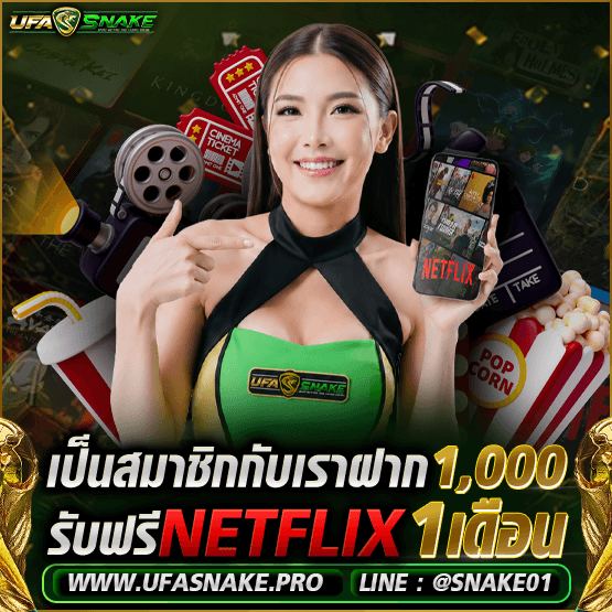 โปร netflix