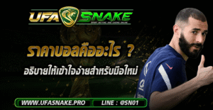 ราคาบอลคืออะไร