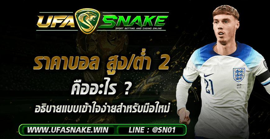 ราคาบอลสูงต่ำ 2 คืออะไร