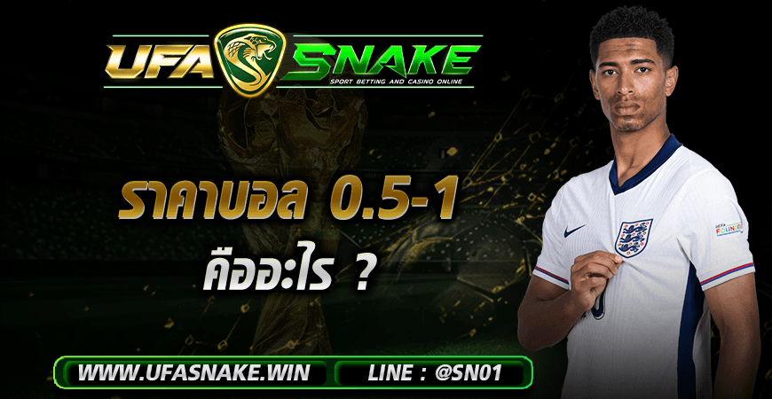 ราคาบอล 0.5-1 คืออะไร