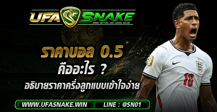ราคาบอล 0.5 คืออะไร