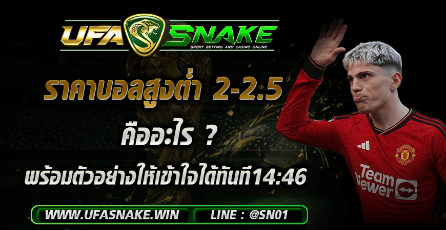 ราคาบอลสูงต่ำ 2-2.5 คืออะไร