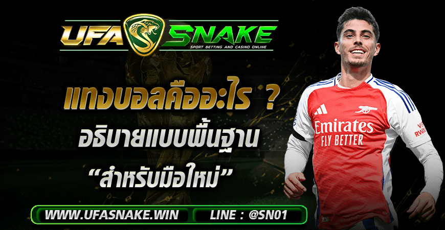 แทงบอลคืออะไร